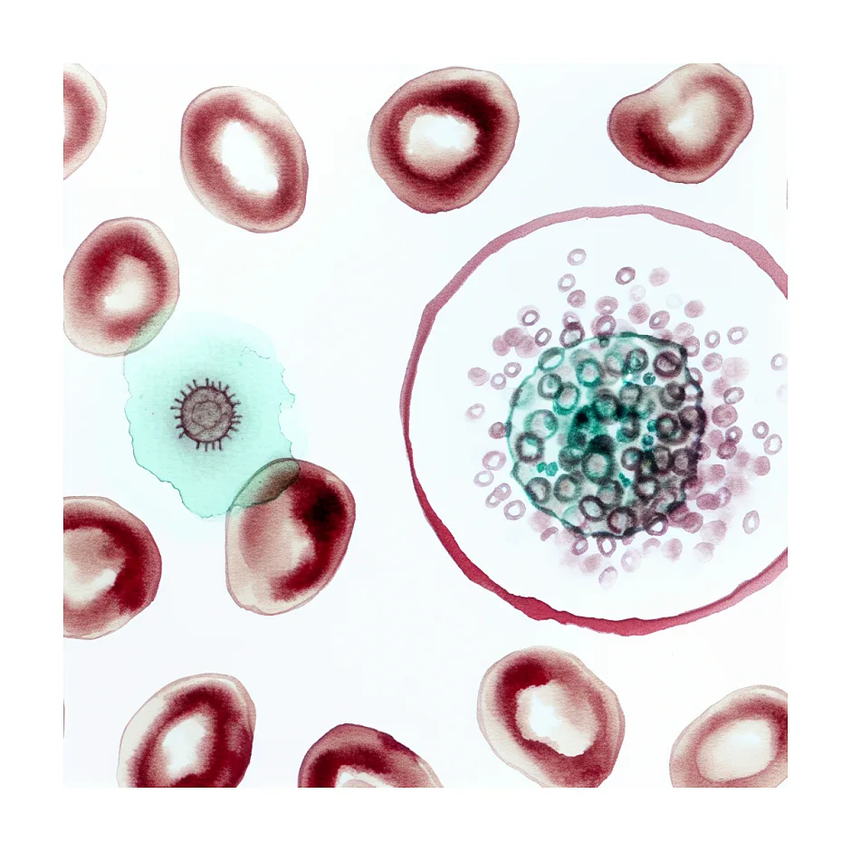 حقایق مهم در مورد فعال بودن ویروس HIV در خون خشک