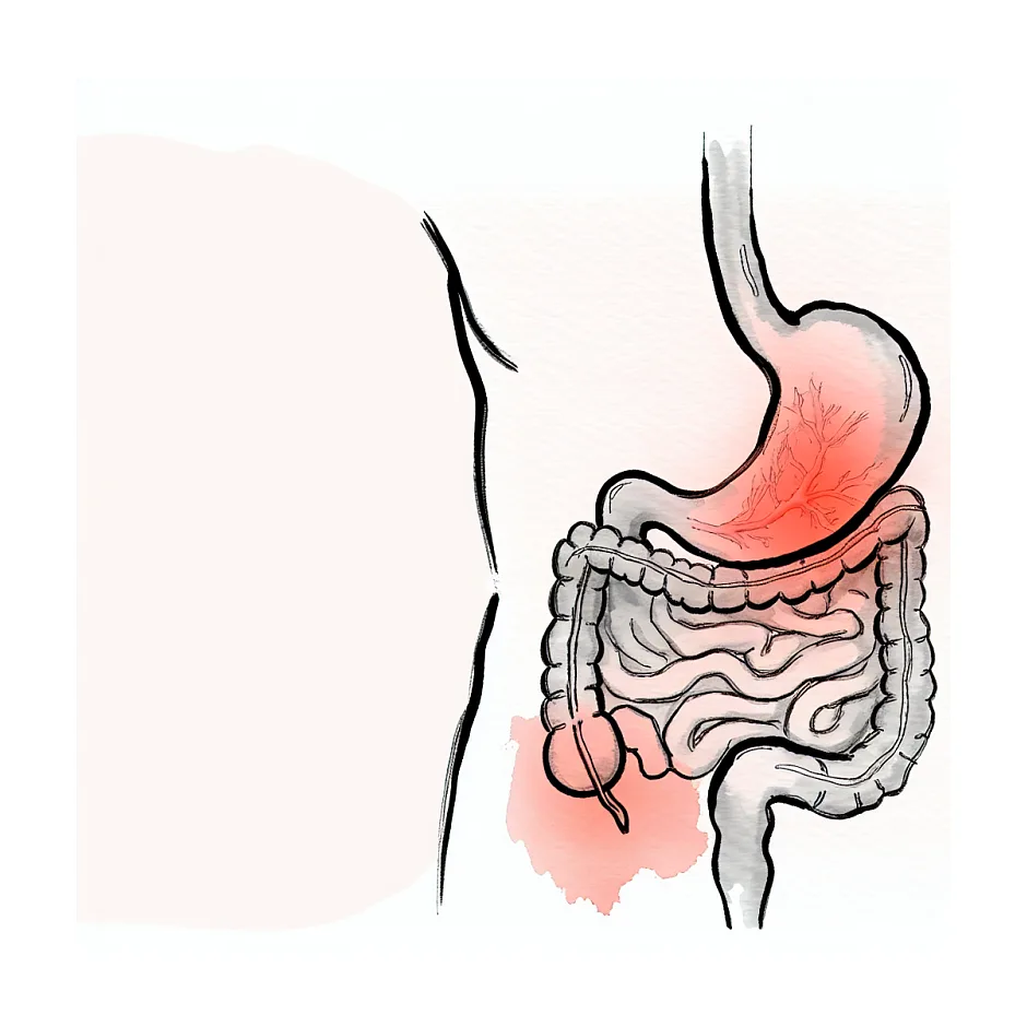 علت درد معده و انتشار به کتف راست بعد از غذا