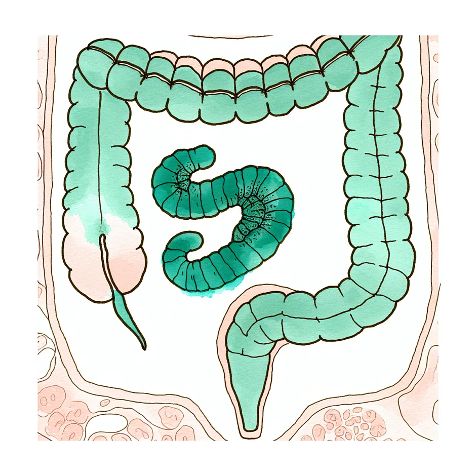 چگونه انگل را از بین ببریم؟