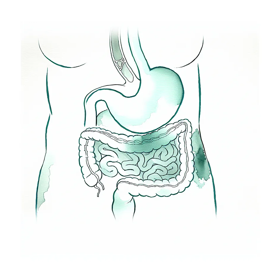 آروغ زدن زیاد در بارداری؛ طبیعی است یا نگران‌کننده؟