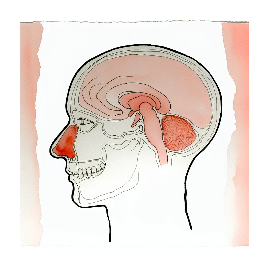 آیا خروج مایع از بینی در موقع خواب نگران کننده است؟