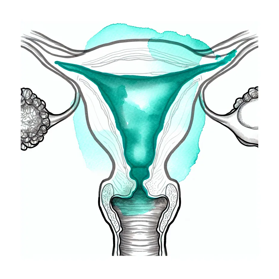 مایع مختصر در لگن در سونوگرافی یعنی چه؟