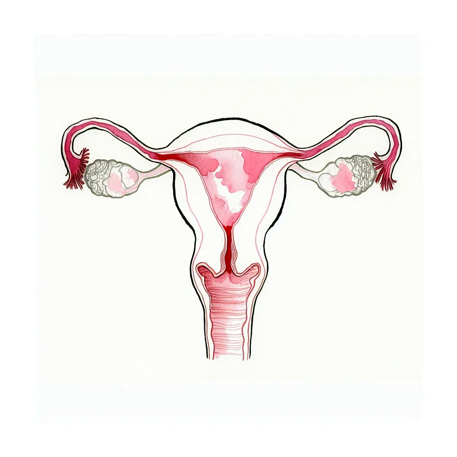 امکان بارداری در ۴۸ سالگی و شروع علائم یائسگی