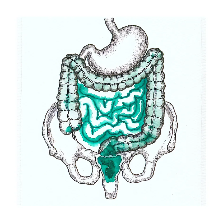 رسیدگی به درد ناف و نحوه درمان در پی IBS (سندرم روده تحریکپذیر)