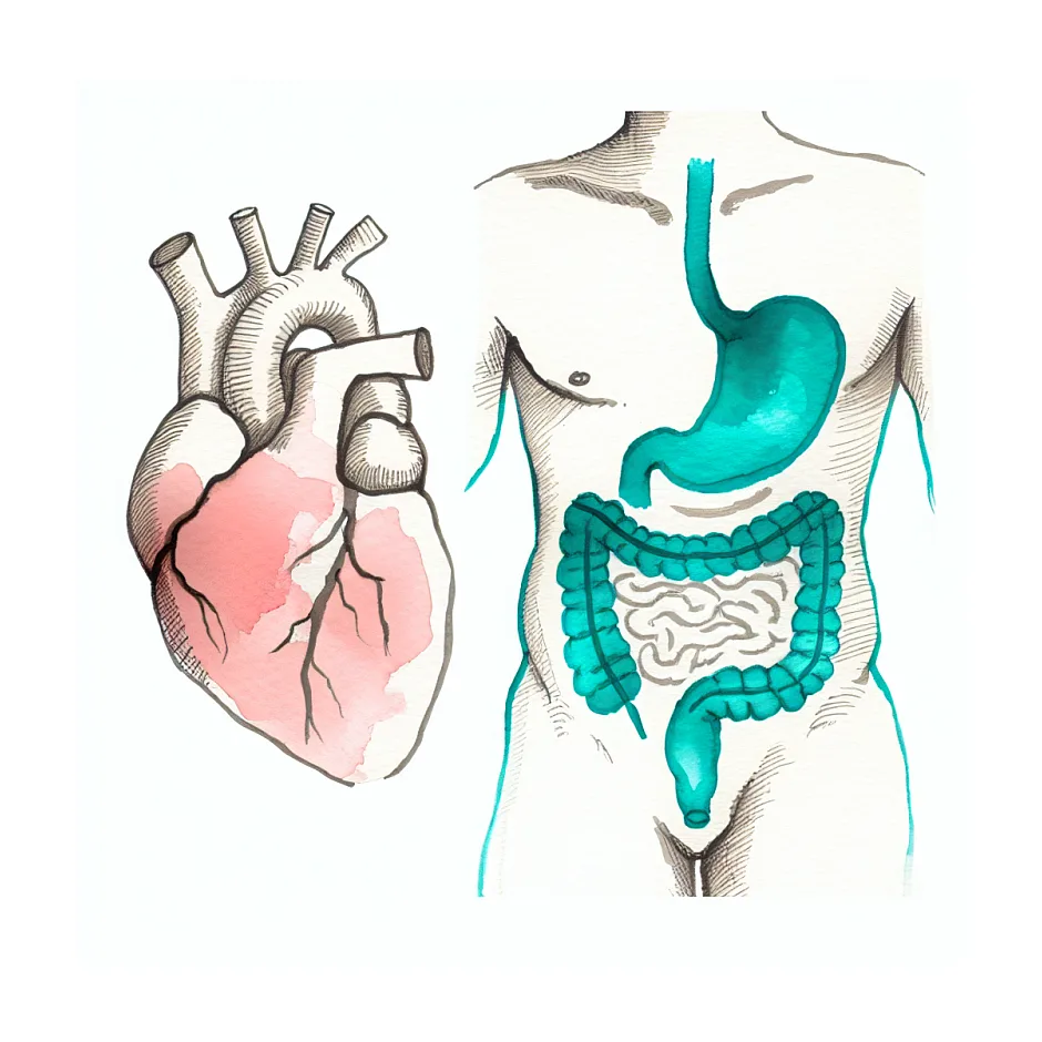 قلیان، درد قلب و مشکلات معده؛ آیا ربط دارد؟