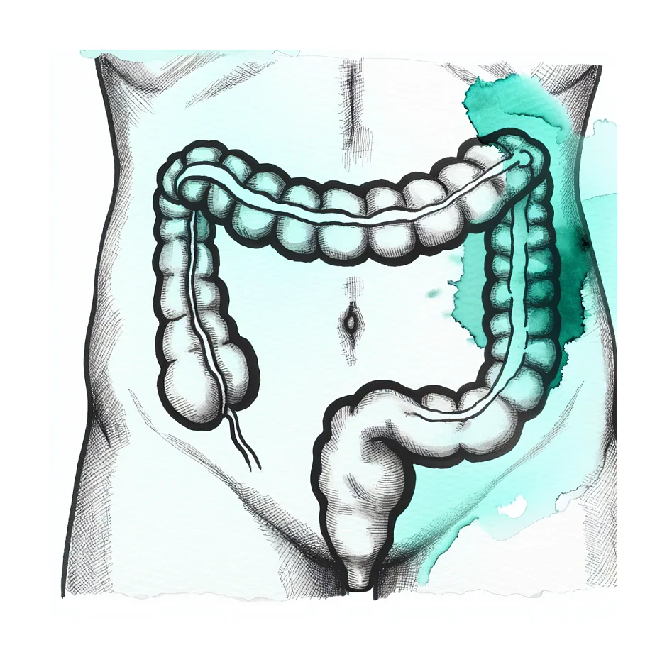 علت صدای قل‌قل و حرکت آب در شکم بدون درد