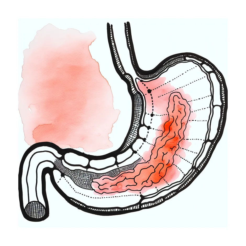 علل درد معده در اول صبح ناشتا - سوال و جواب در زمینه پزشکی