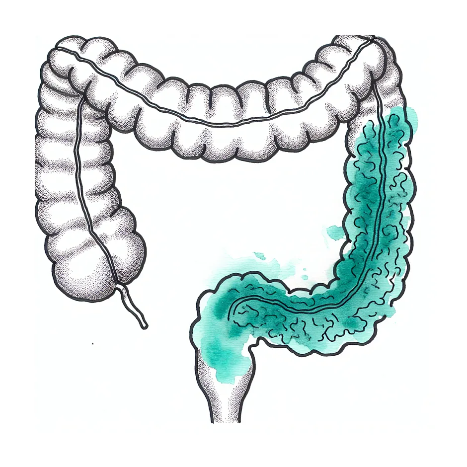 نحوه صحیح مصرف پودر موسیلیوم برای یبوست و نکات مهم در فشار خون