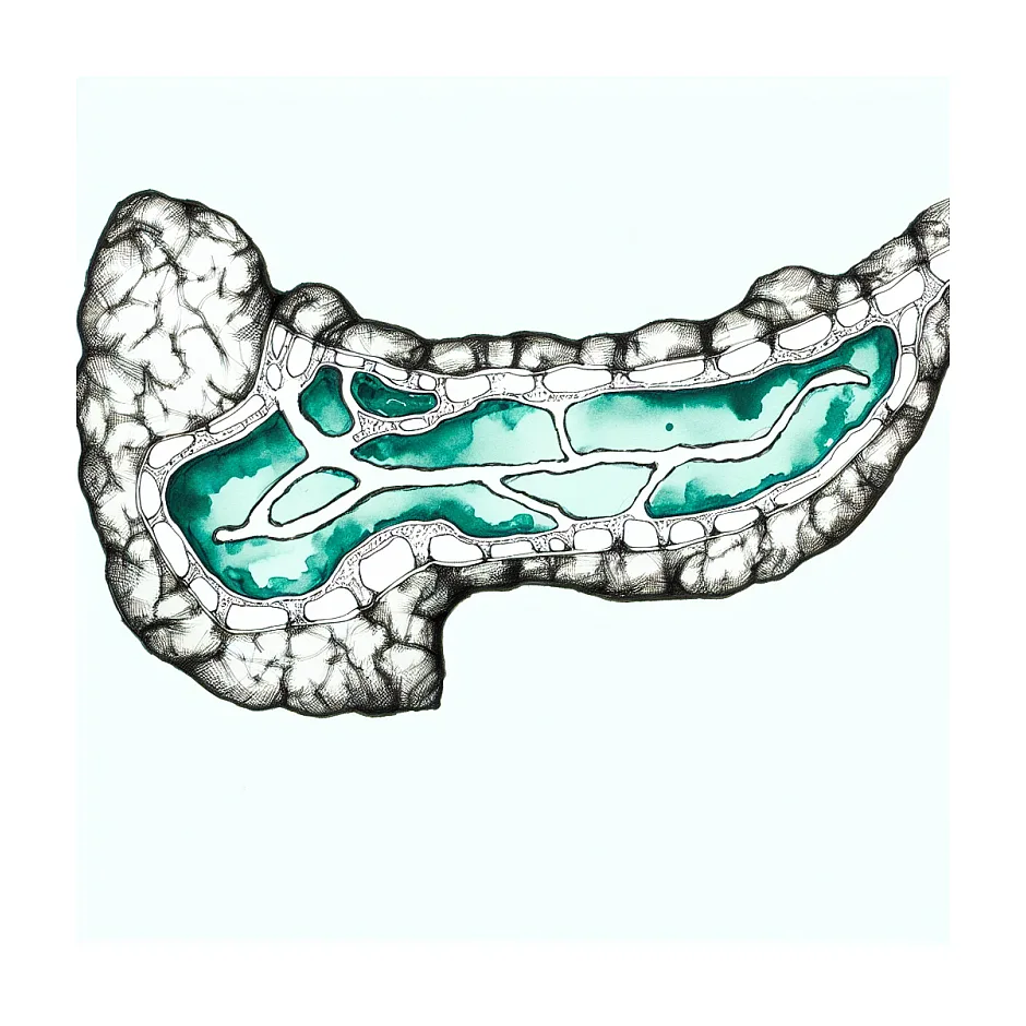 علت افزایش آنزیم لیپاز چیست؟