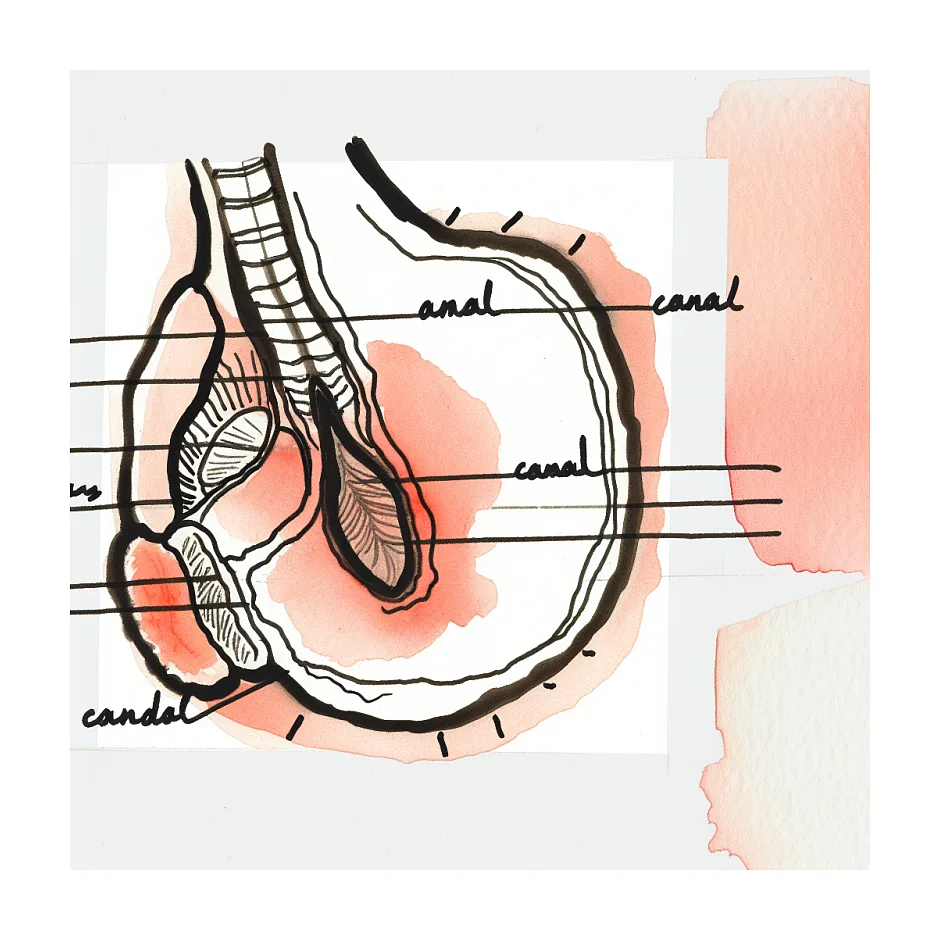 درمان سوزش و درد بعد از رابطه مقعدی