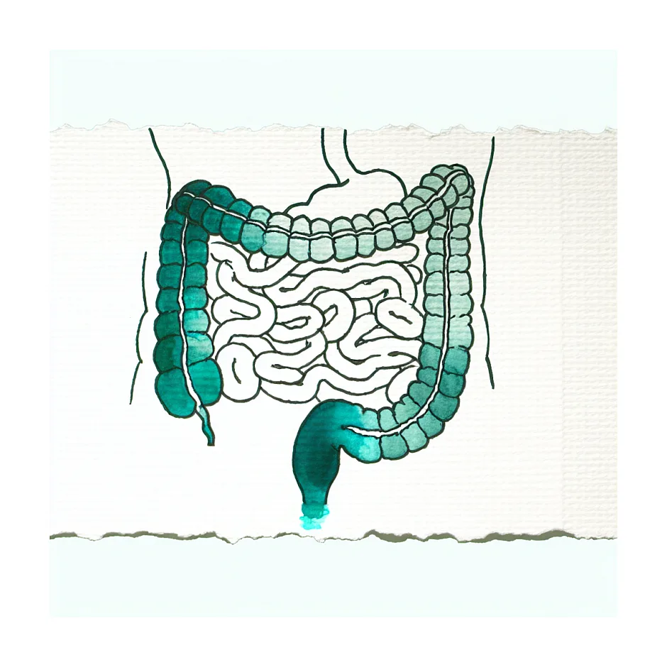 مدت زمان جذب قند غذا و ورود به خون