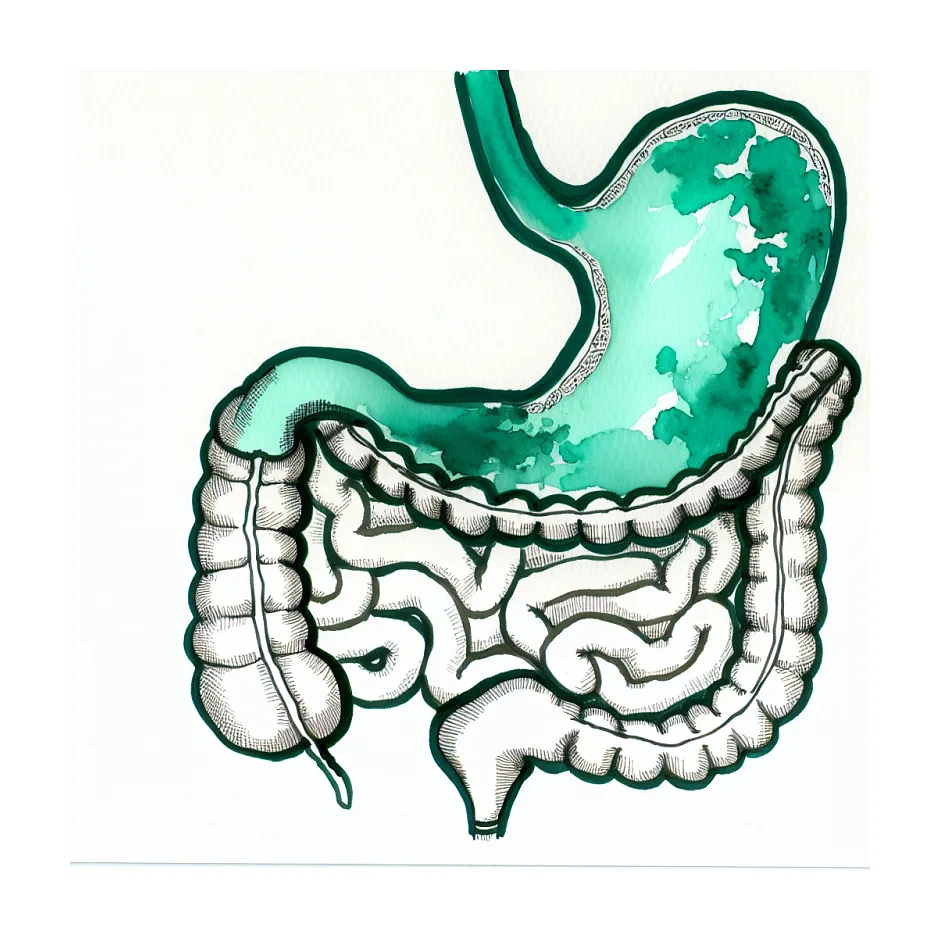علت باد معده شدید در خواب و راه‌حل‌ها
