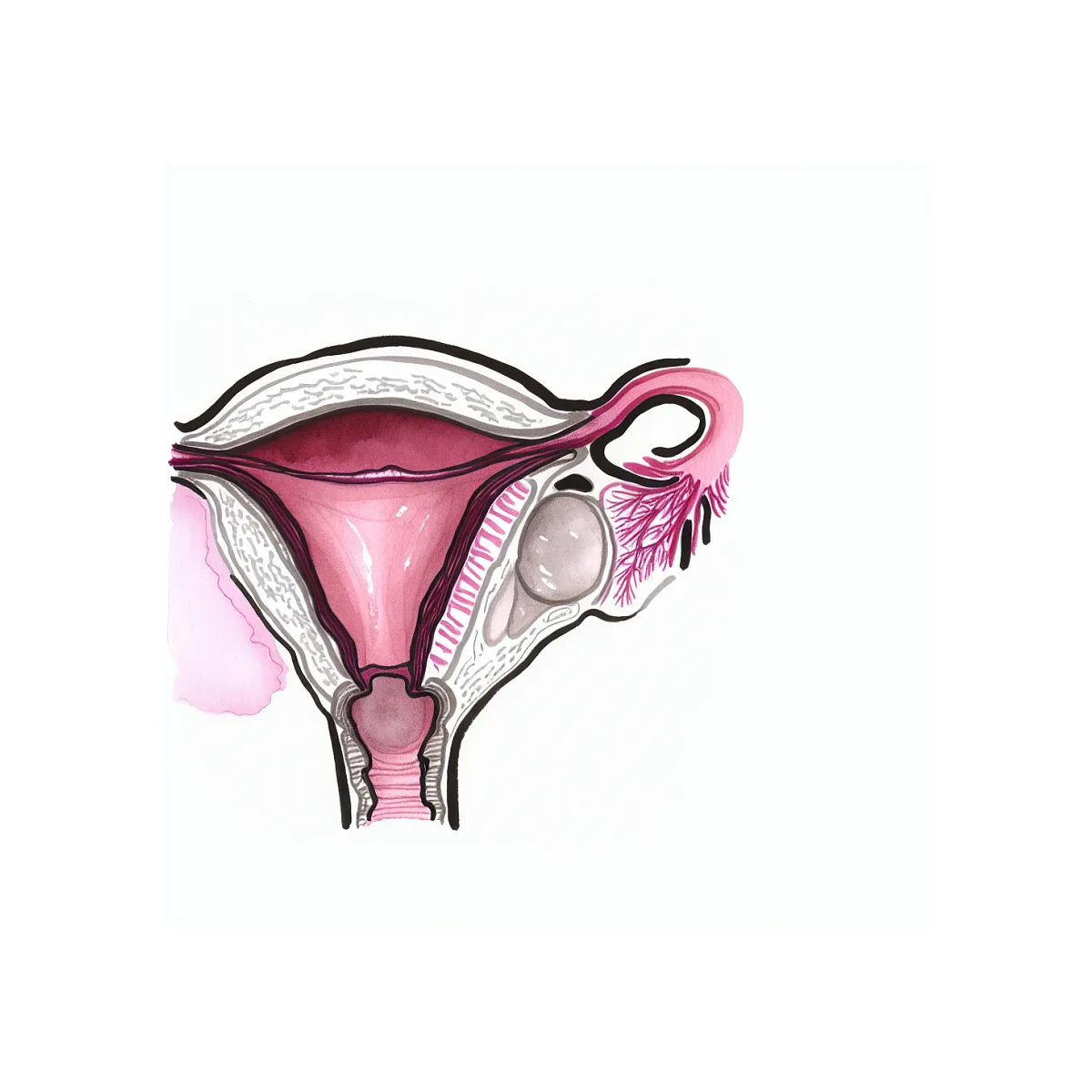 استفاده از پماد واژینال در زمان پریود