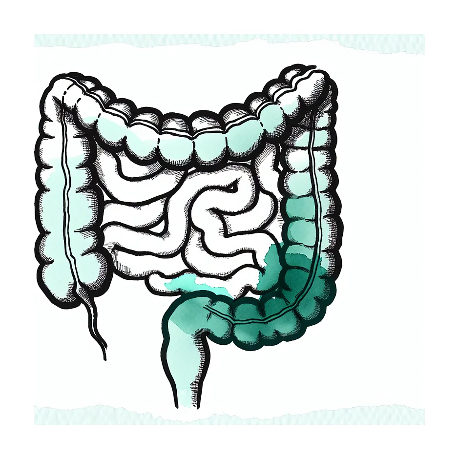 مدت زمان رفع نفخ و عوارض کپسول بایو فلورا