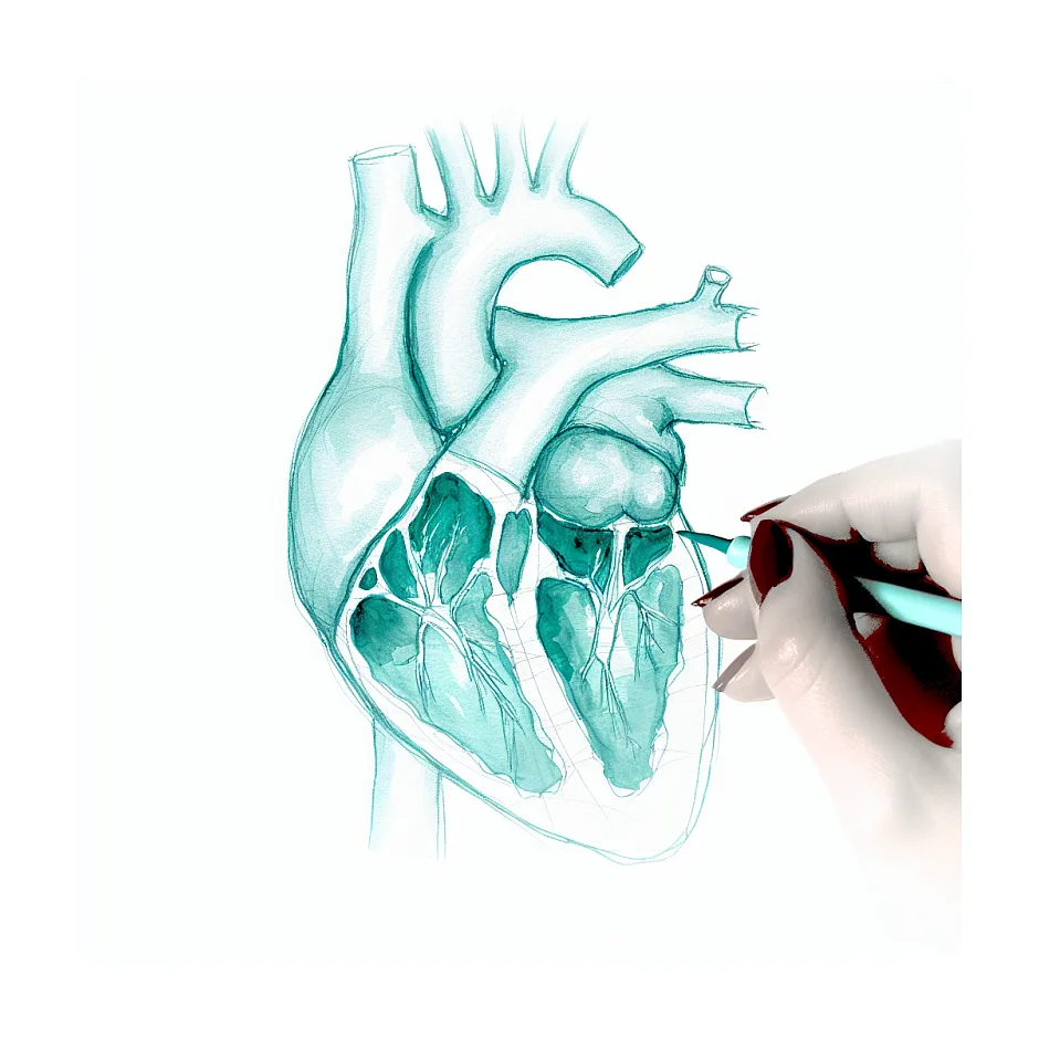 گشادی دریچه قلب و تمرینات سنگین - راهنمای جامع