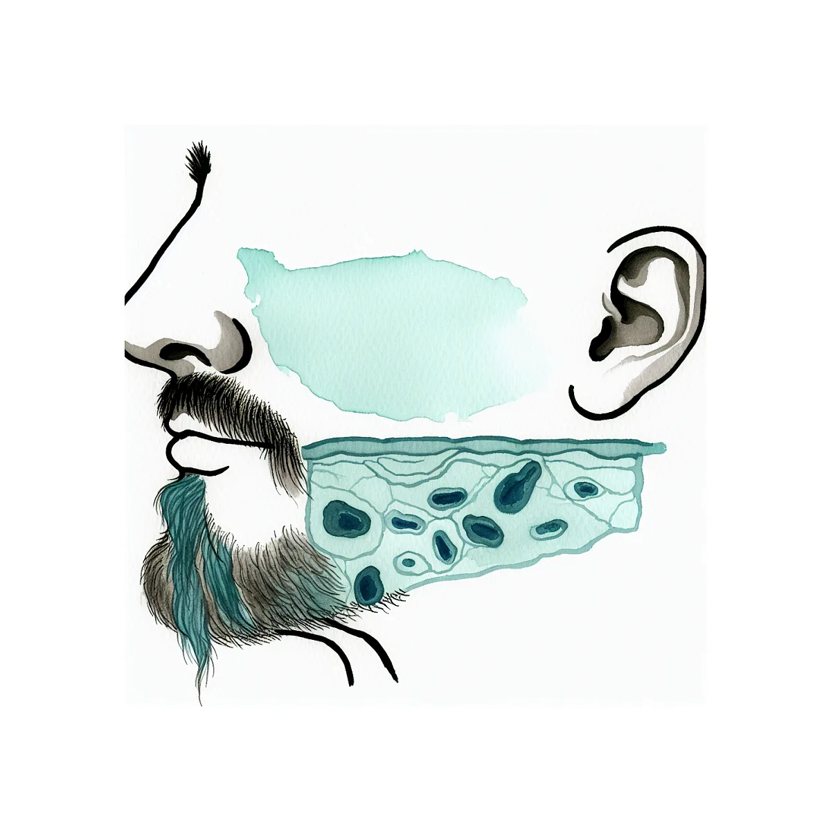 تأثیر دنبلان و قرص ال‌دی بر رشد ریش در ۱۸ سالگی