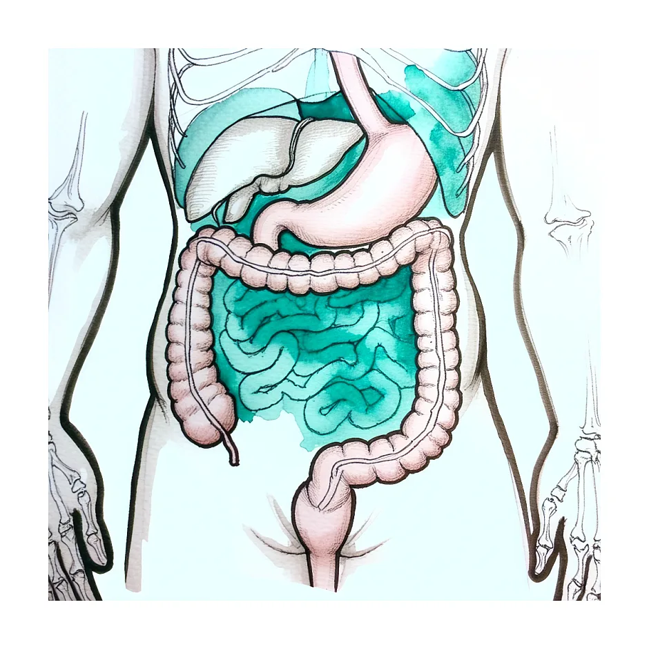 عوارض قرص ردوکسا و تاثیر آن در لاغری