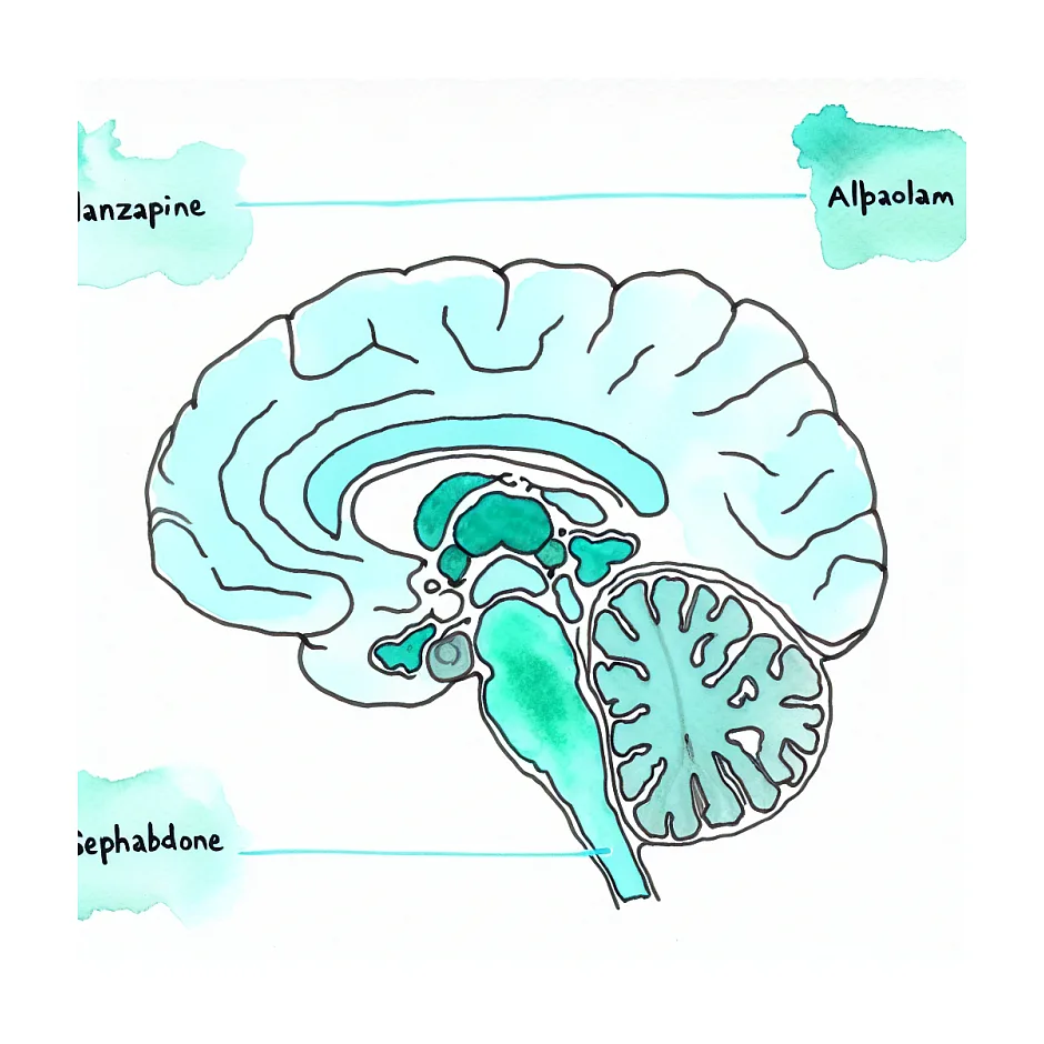 تداخل متادون با الانزاپین و آلپرازولام