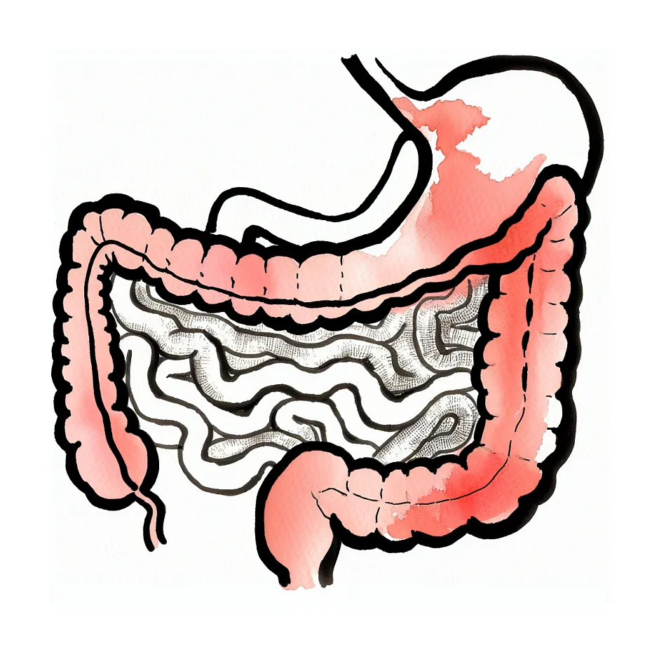 روزه گرفتن با معده عصبی و روده تحریک‌پذیر در دوران شیردهی