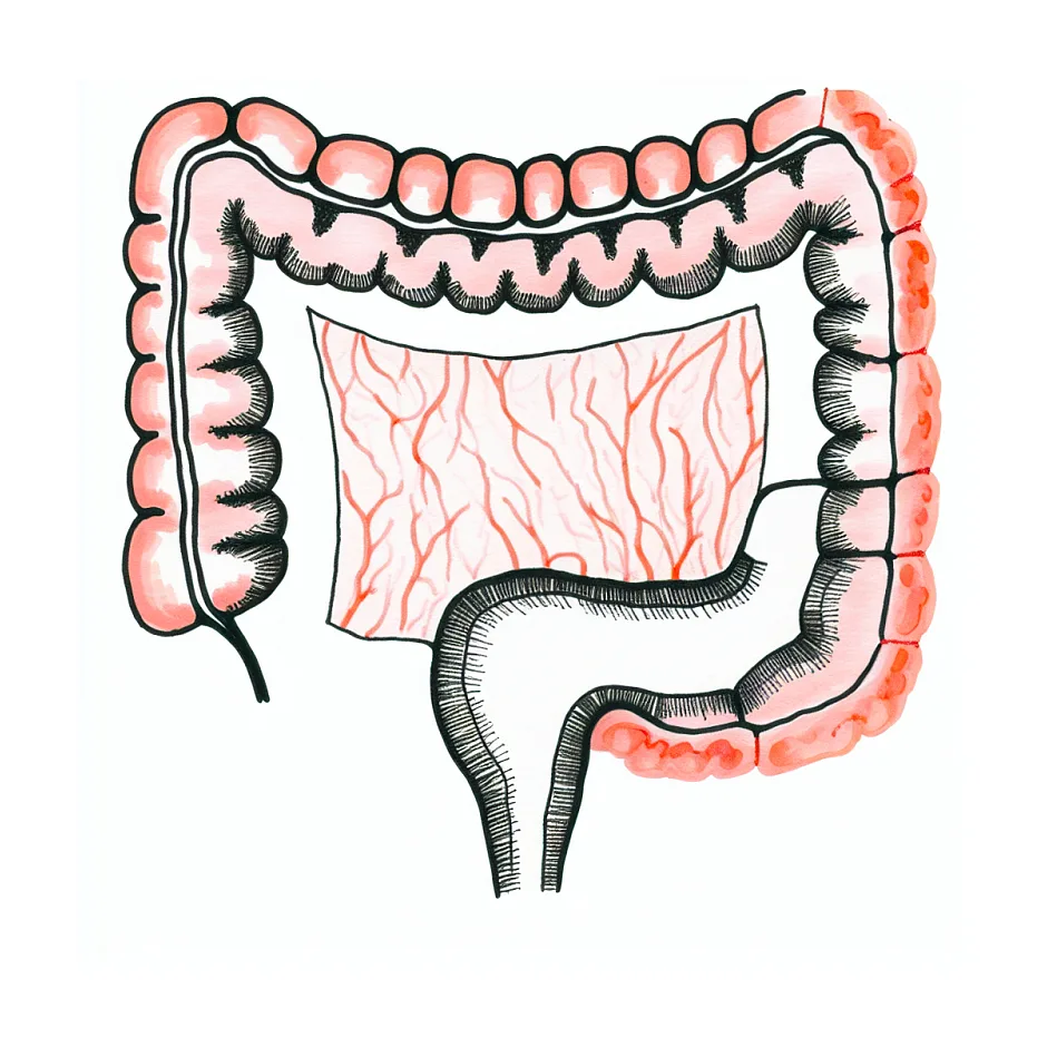 ضخیم شدن دیواره روده در سی‌تی‌اسکن؛ آیا نگران باشم؟