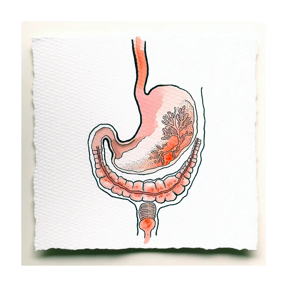 آب قلم و شروع کته برای نوزاد ۹ ماهه