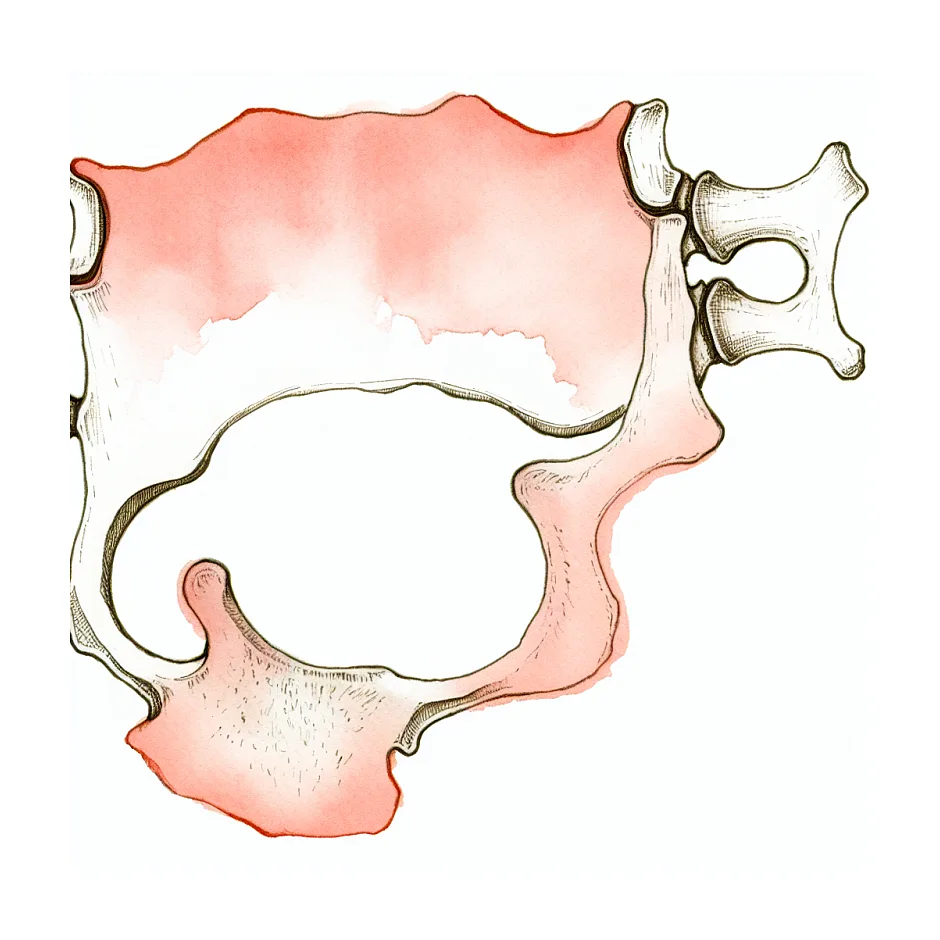 ورزش بعد از بهبودی شکستگی مهره کمر
