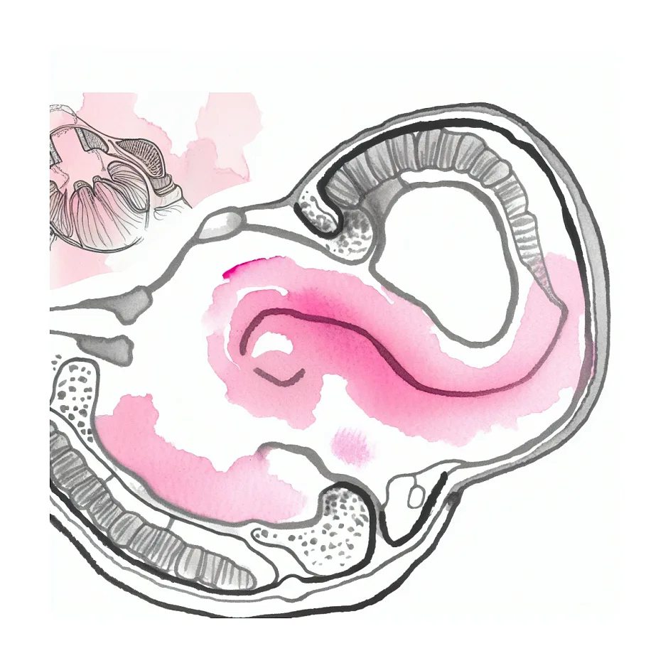 آیا زنان مایع منی دارند یا فقط ترشحات جنسی؟
