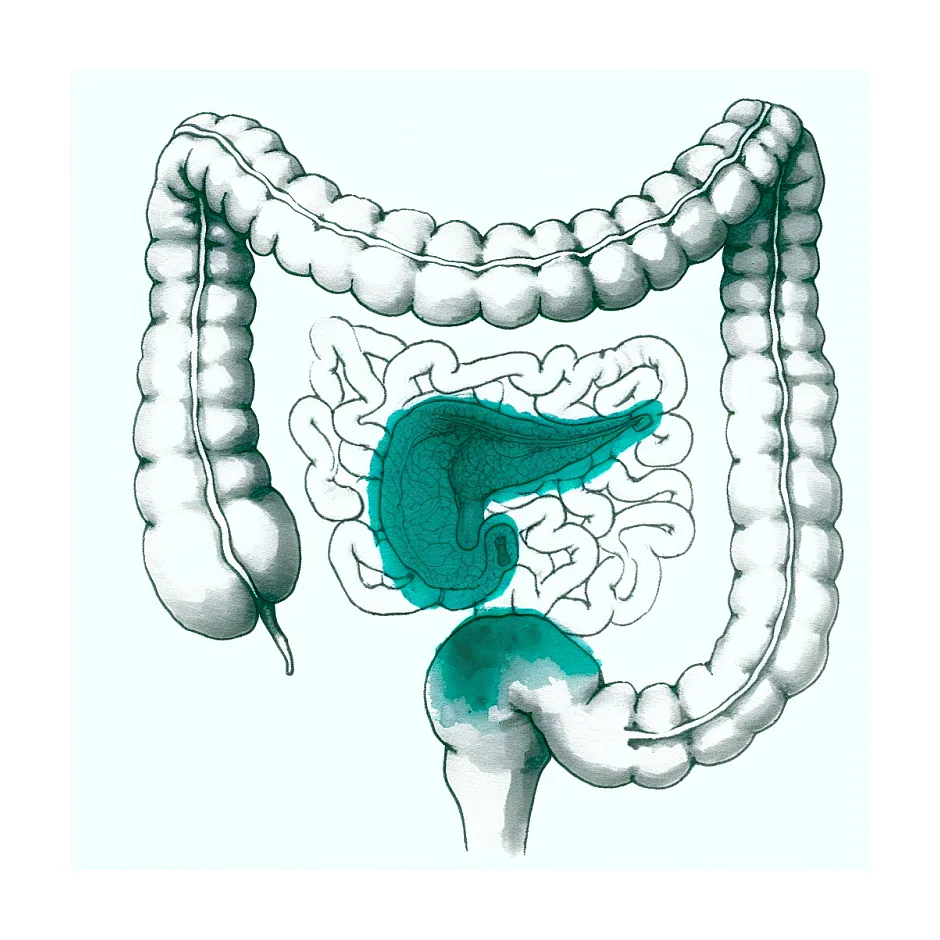 علت بیحالی و خستگی بعد از غذا چیست؟
