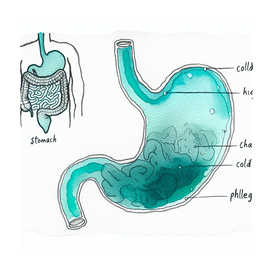 درمان سردی معده و بلغم؛ راهکارهای موثر و ایمن