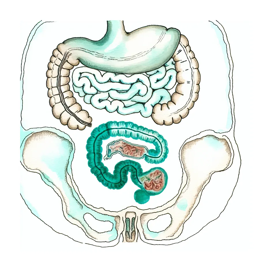 تغذیه نوزاد ۷ ماهه با شلغم، اسفناج و میوه‌ها