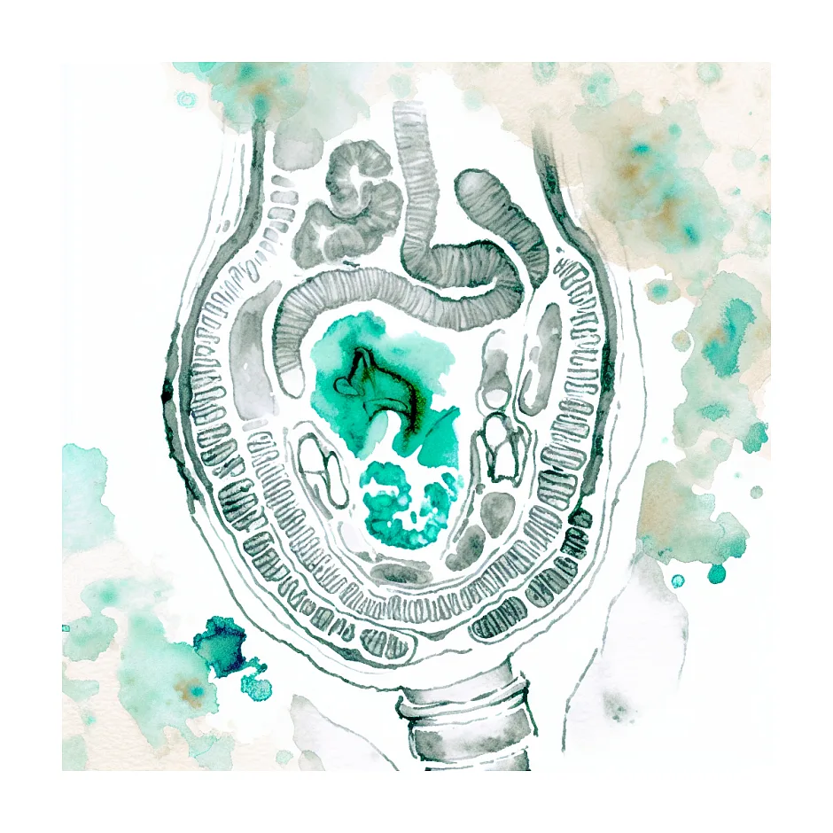 احساس لذت با تحریک ناف؛ آیا طبیعی است؟