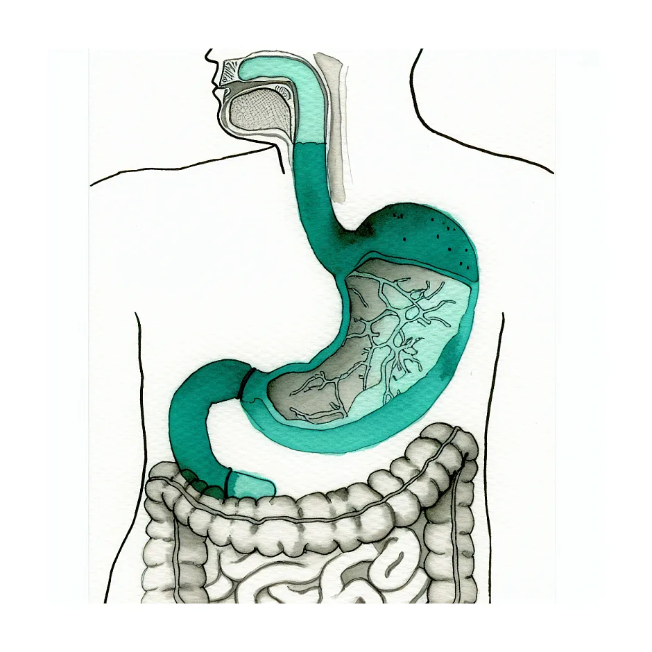 تکان خوردن معده و حالت تهوع؛ آیا نگران‌کننده است؟
