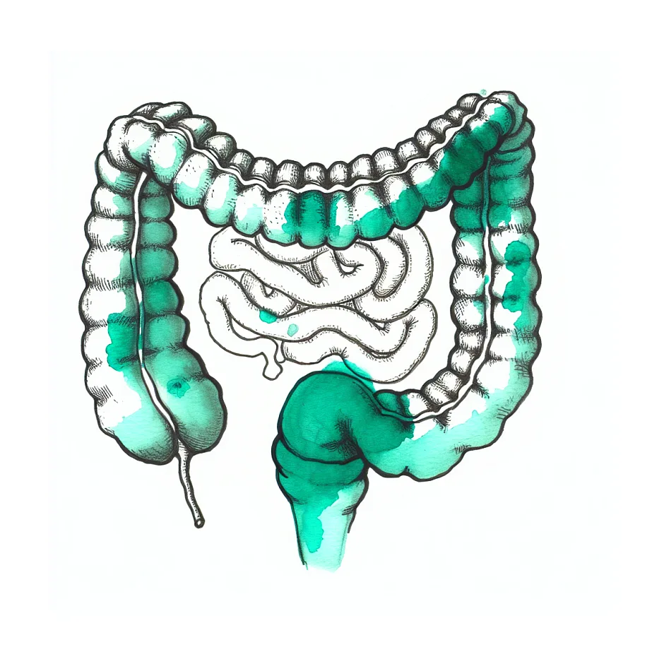 خلط شفاف در مدفوع کودک ۳ ساله نشانه چیست؟