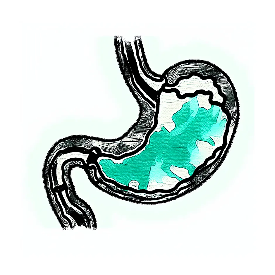 درمان سریع رودل و سنگینی معده بعد از پرخوری