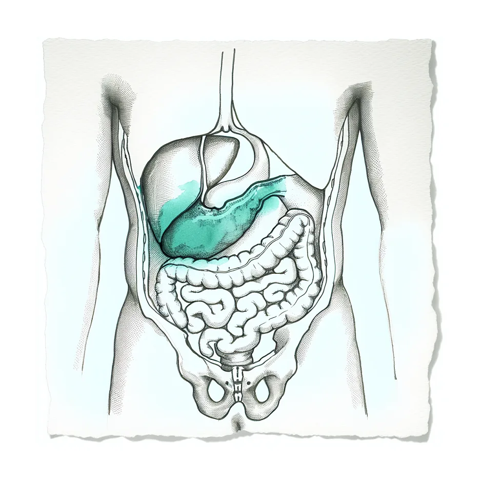 درد زیر سینه راست؛ علت‌های شایع و متخصص مناسب