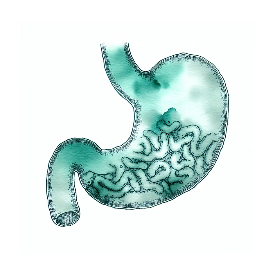 زمان ترمیم پرزهای معده و راه‌های بهبود سریع‌تر