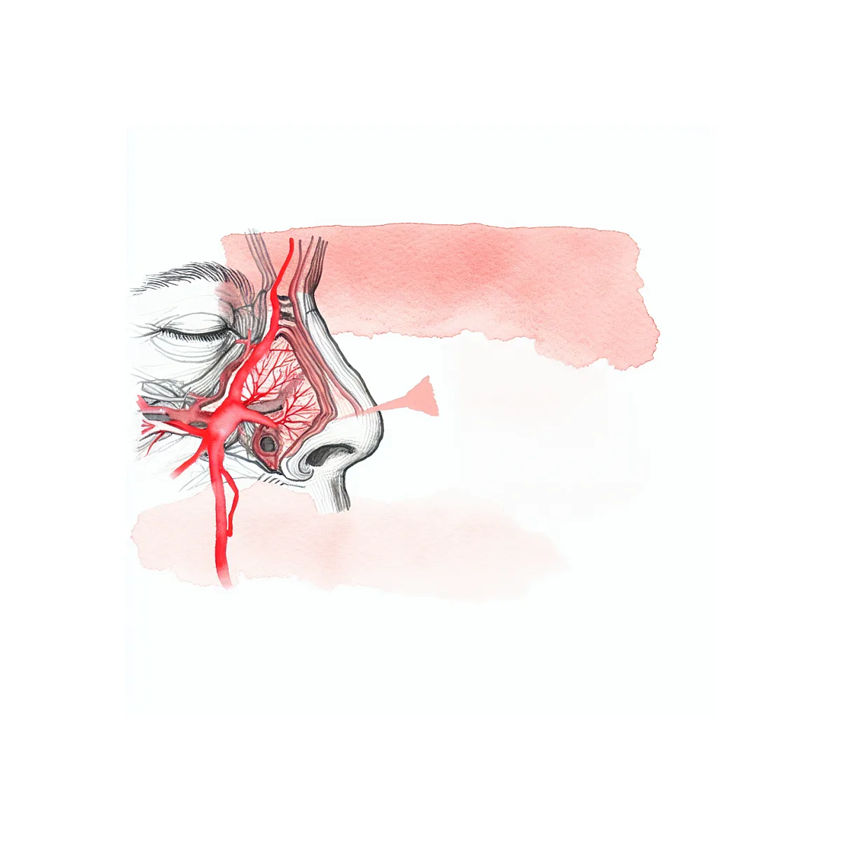 علت حس نبض روی بینی و پیشانی چیست؟