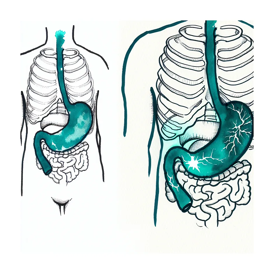 آیا درد معده می‌تواند به دنده‌ها و ستون فقرات تیر بکشد؟