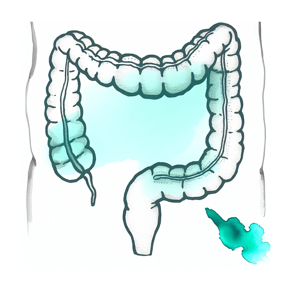 علت بوی بد مدفوع کودک | وبسایت سوالات پزشکی