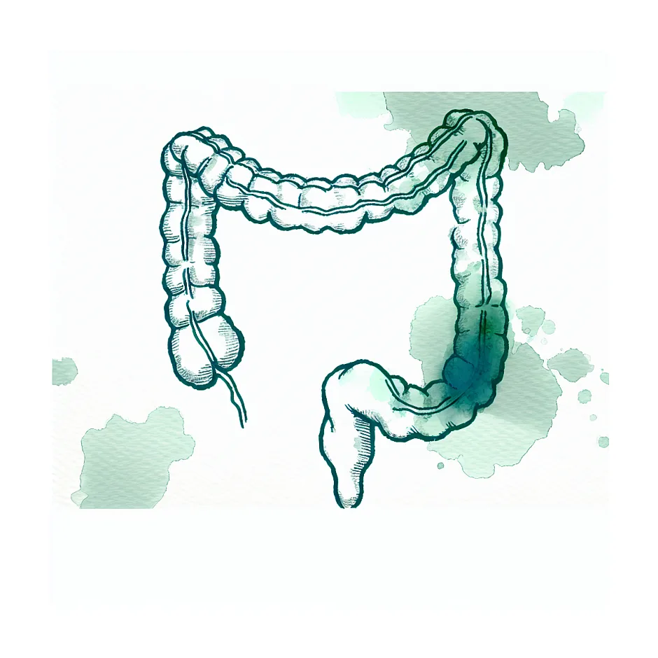 چی کار کنیم سریع برای آزمایش، مدفوع بیاید؟