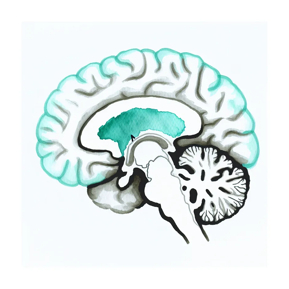 علت صدا در سر و توهم تحت نظر بودن همسر