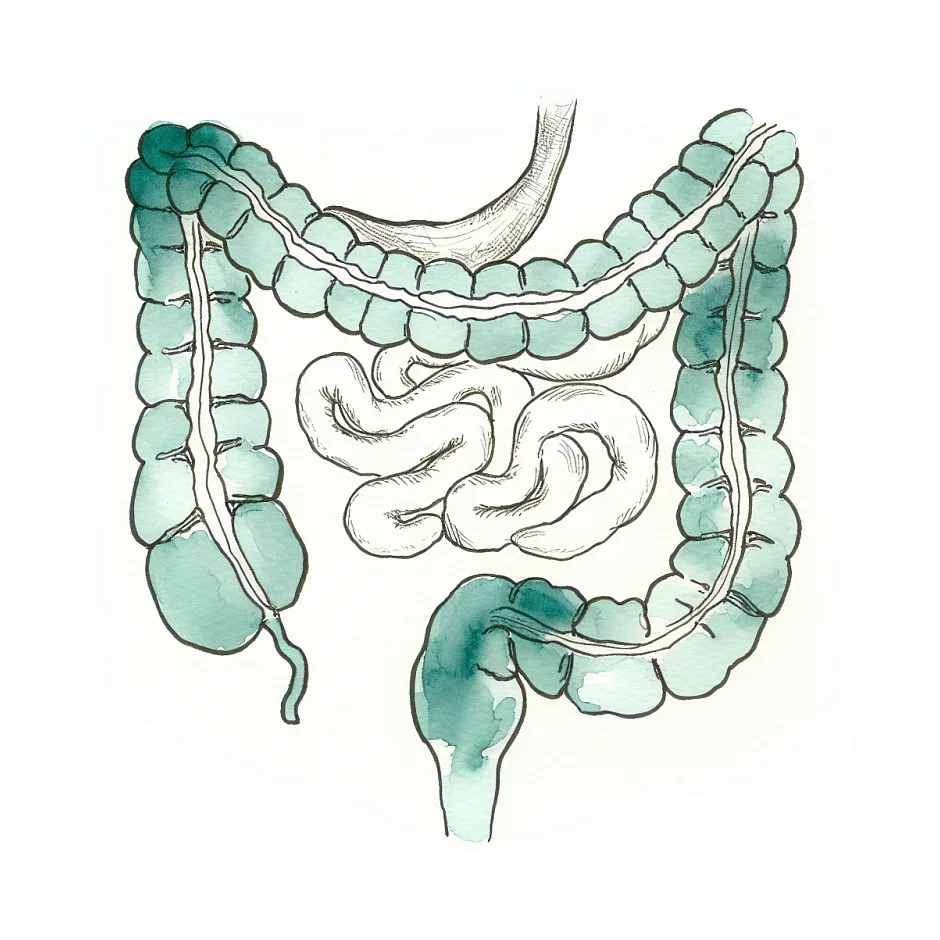 نفخ و مدفوع شل طولانی‌مدت؛ علت و راه‌حل‌ها