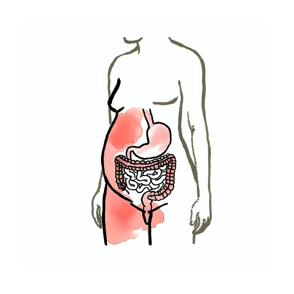 مصرف مرغ سوخاری و سس مایونز در سه ماهه اول بارداری