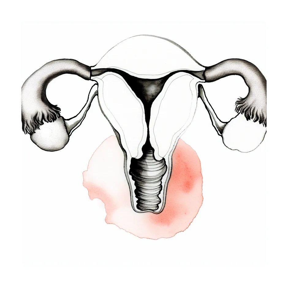 مشاهده ساک بارداری بدون یولک ساک در ۶ هفتگی