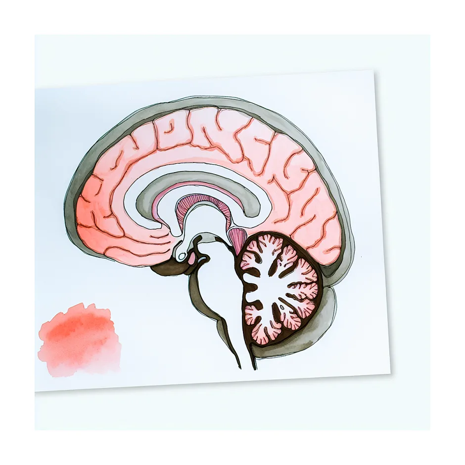 علاقه به برده بودن؛ بیماری است یا گرایش جنسی؟