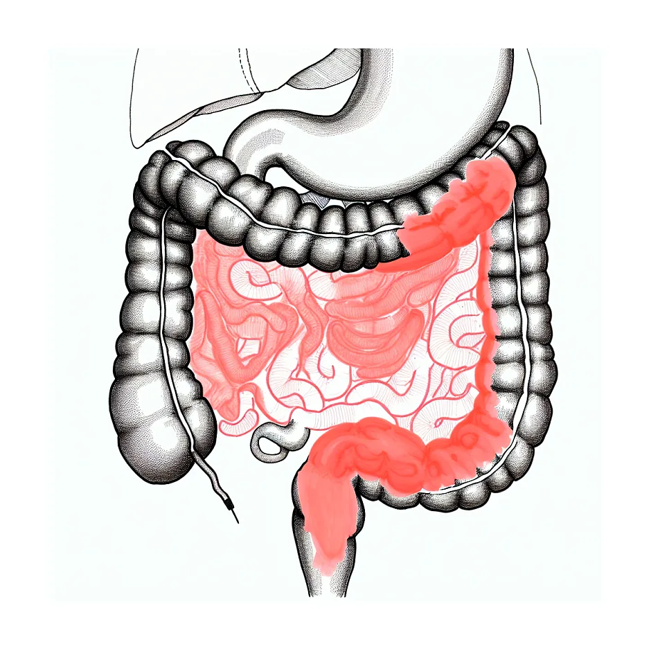 مصرف رنگ غذا در بارداری — آیا مضر است؟