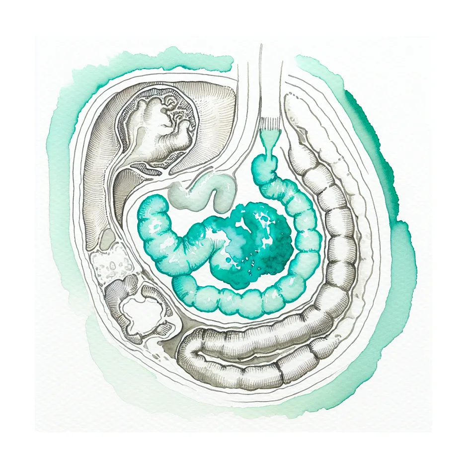 آب دادن به نوزاد ۵ ماهه — چه مقدار و چگونه