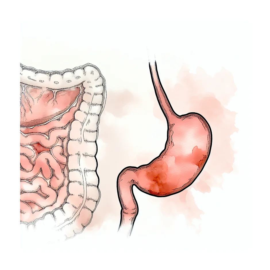حالت تهوع و درد معده با قرص ال‌دی؛ چه کنم؟