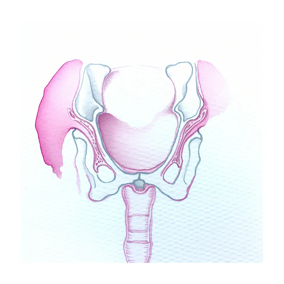 مالیدن آلت به زمین در کودک ۳ ساله؛ علت و راهکار