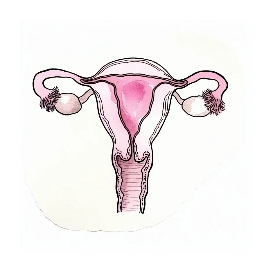 طبیعی بودن پریود ۳ تا ۴ روزه با قطع خونریزی در روز دوم